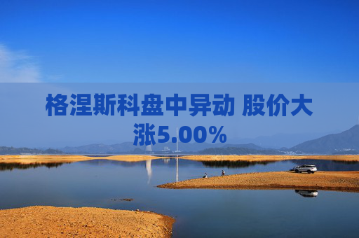 格涅斯科盘中异动 股价大涨5.00%
