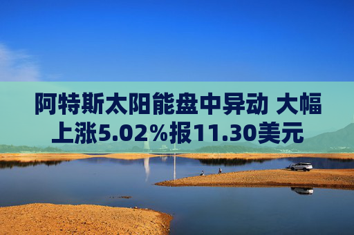 阿特斯太阳能盘中异动 大幅上涨5.02%报11.30美元