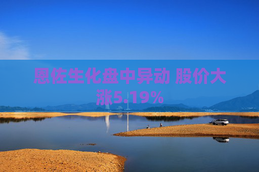 恩佐生化盘中异动 股价大涨5.19%
