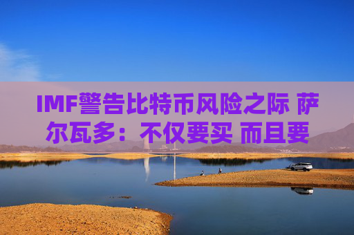 IMF警告比特币风险之际 萨尔瓦多：不仅要买 而且要加速买！