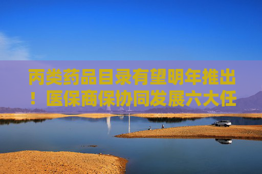 丙类药品目录有望明年推出！医保商保协同发展六大任务明确