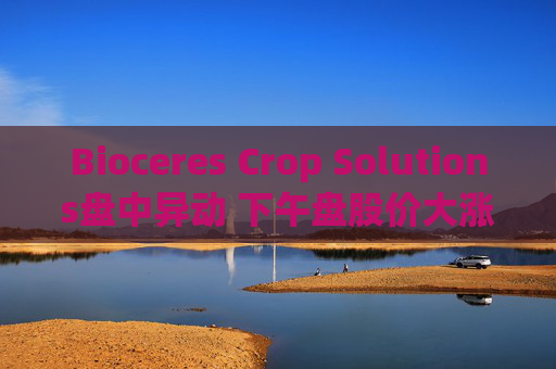 Bioceres Crop Solutions盘中异动 下午盘股价大涨5.11%