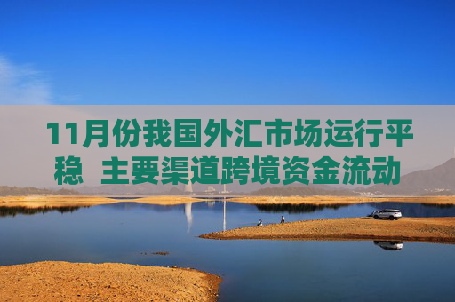 11月份我国外汇市场运行平稳  主要渠道跨境资金流动总体稳定
