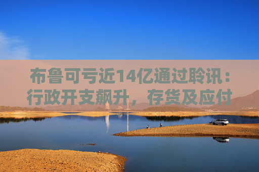 布鲁可亏近14亿通过聆讯：行政开支飙升，存货及应付款项大幅增加
