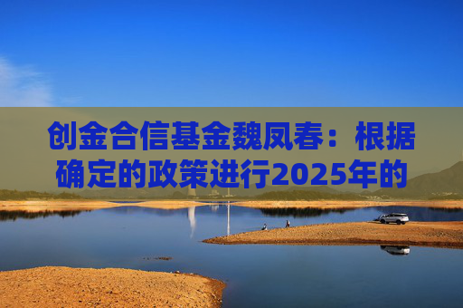 创金合信基金魏凤春：根据确定的政策进行2025年的战略布局