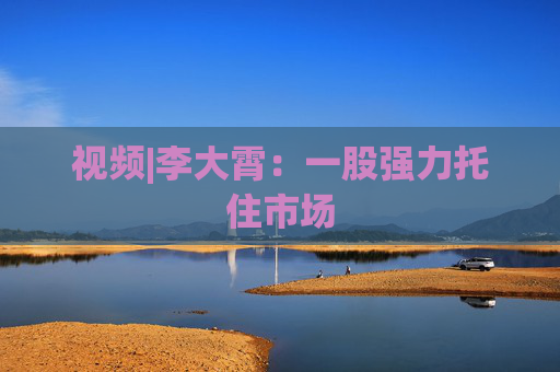视频|李大霄：一股强力托住市场