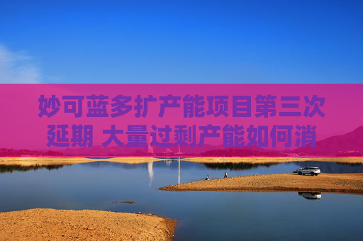 妙可蓝多扩产能项目第三次延期 大量过剩产能如何消化？