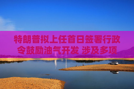 特朗普拟上任首日签署行政令鼓励油气开发 涉及多项措施