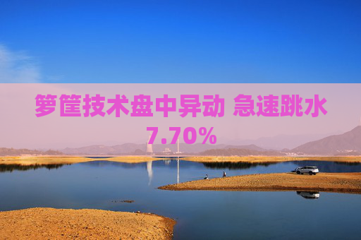 箩筐技术盘中异动 急速跳水7.70%