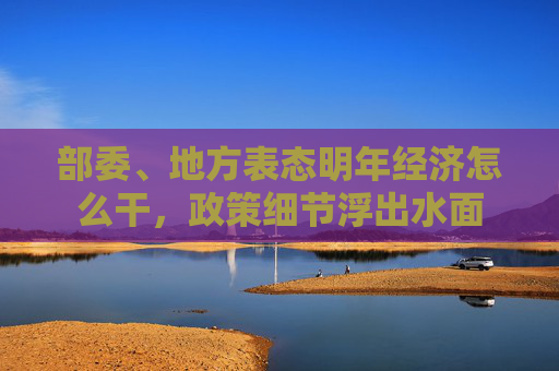 部委、地方表态明年经济怎么干，政策细节浮出水面