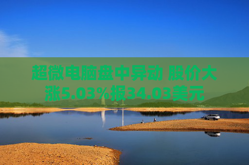 超微电脑盘中异动 股价大涨5.03%报34.03美元