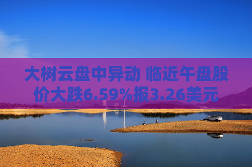 大树云盘中异动 临近午盘股价大跌6.59%报3.26美元