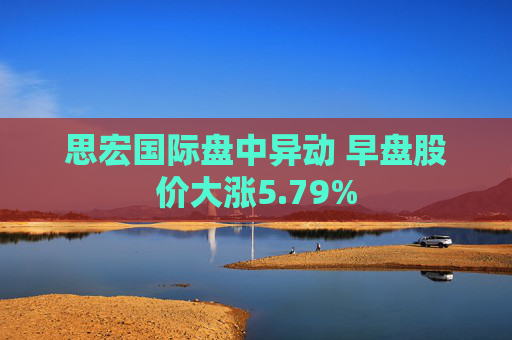 思宏国际盘中异动 早盘股价大涨5.79%