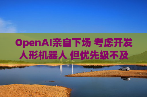 OpenAI亲自下场 考虑开发人形机器人 但优先级不及大模型