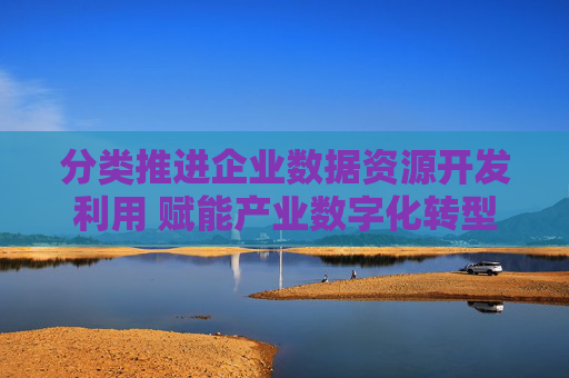 分类推进企业数据资源开发利用 赋能产业数字化转型