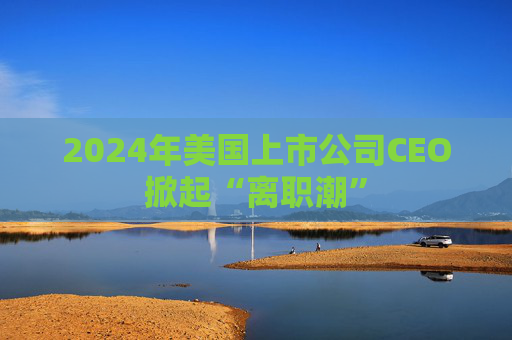 2024年美国上市公司CEO掀起“离职潮”