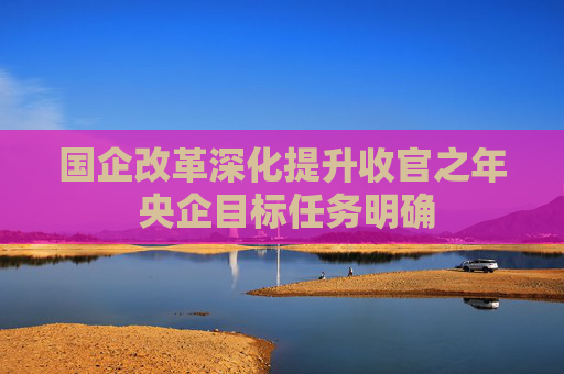 国企改革深化提升收官之年 央企目标任务明确