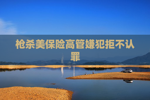 枪杀美保险高管嫌犯拒不认罪