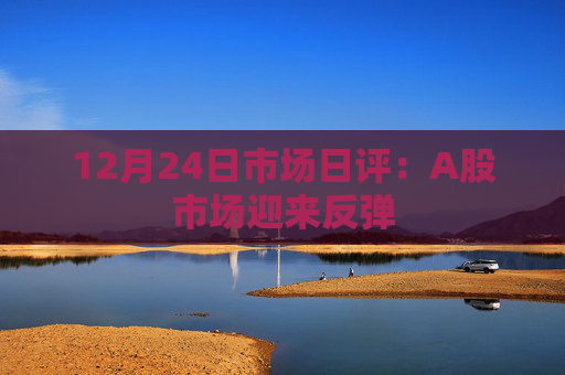 12月24日市场日评：A股市场迎来反弹