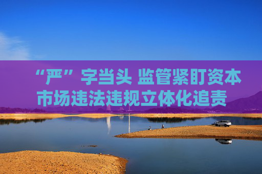 “严”字当头 监管紧盯资本市场违法违规立体化追责