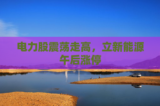 电力股震荡走高，立新能源午后涨停