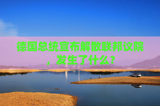 德国总统宣布解散联邦议院，发生了什么？