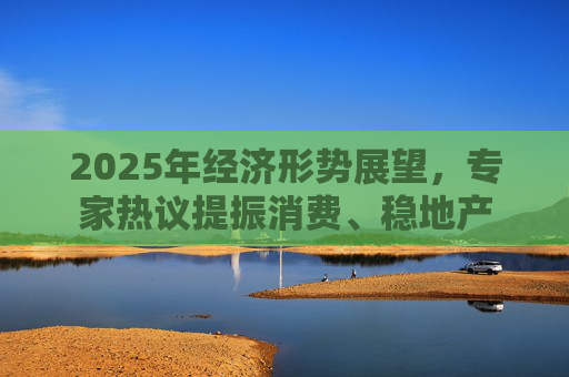 2025年经济形势展望，专家热议提振消费、稳地产