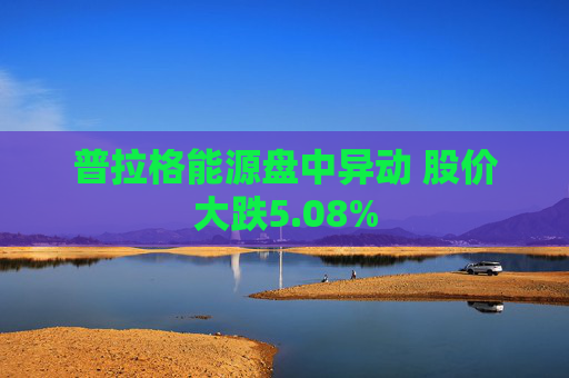 普拉格能源盘中异动 股价大跌5.08%