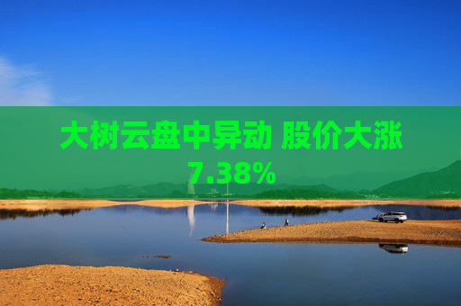 大树云盘中异动 股价大涨7.38%
