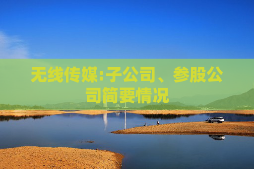 无线传媒:子公司、参股公司简要情况