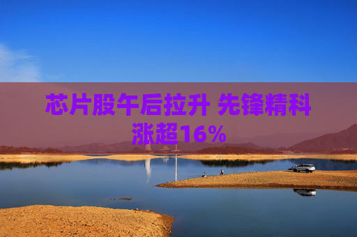 芯片股午后拉升 先锋精科涨超16%
