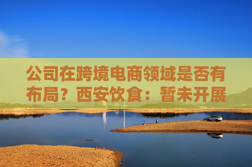 公司在跨境电商领域是否有布局？西安饮食：暂未开展此方面工作