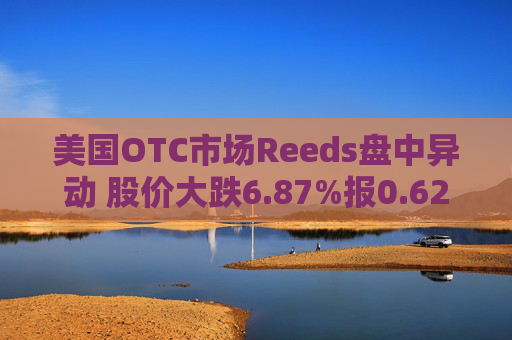 美国OTC市场Reeds盘中异动 股价大跌6.87%报0.629美元