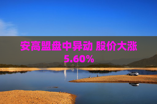 安高盟盘中异动 股价大涨5.60%