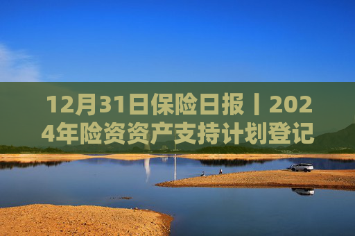 12月31日保险日报丨2024年险资资产支持计划登记情况出炉！前11个月投连险市场回暖，年内有30家险企股权变动