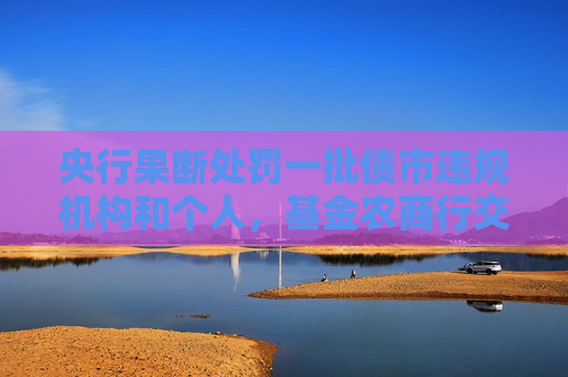 央行果断处罚一批债市违规机构和个人，基金农商行交易情绪降温，市场预计明年债牛仍可期