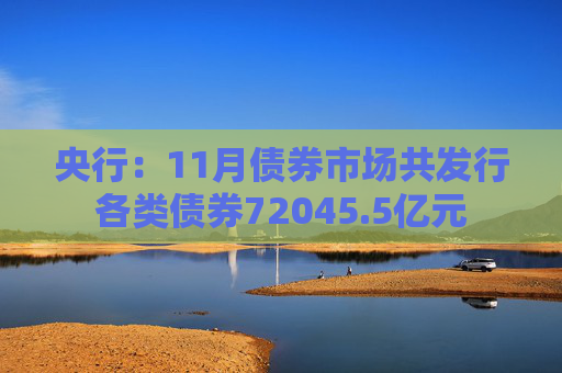 央行：11月债券市场共发行各类债券72045.5亿元