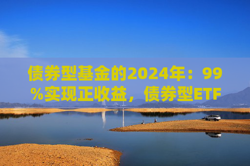 债券型基金的2024年：99%实现正收益，债券型ETF规模翻倍