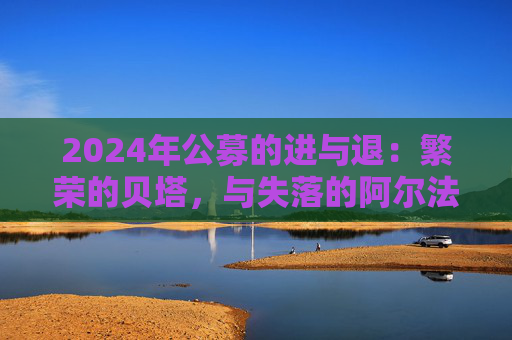 2024年公募的进与退：繁荣的贝塔，与失落的阿尔法