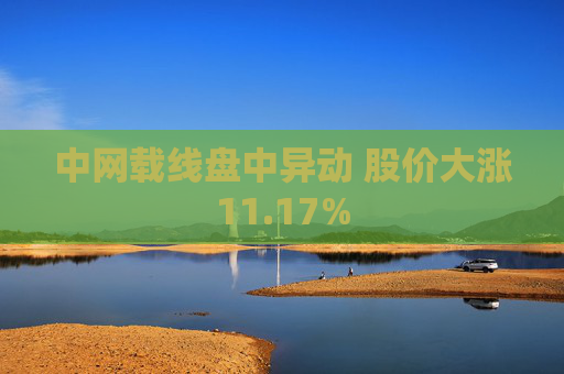 中网载线盘中异动 股价大涨11.17%