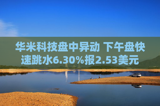 华米科技盘中异动 下午盘快速跳水6.30%报2.53美元