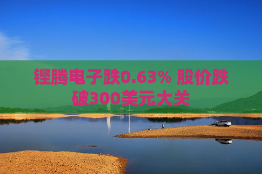 铿腾电子跌0.63% 股价跌破300美元大关