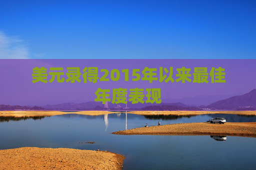 美元录得2015年以来最佳年度表现