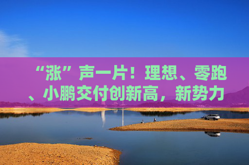 “涨”声一片！理想、零跑、小鹏交付创新高，新势力2024“成绩单”还有这些看点