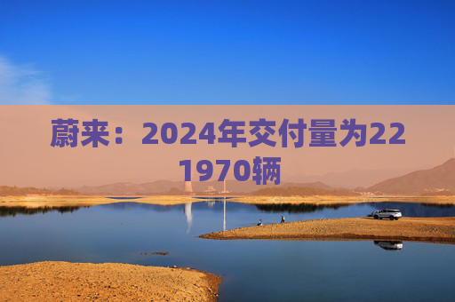 蔚来：2024年交付量为221970辆