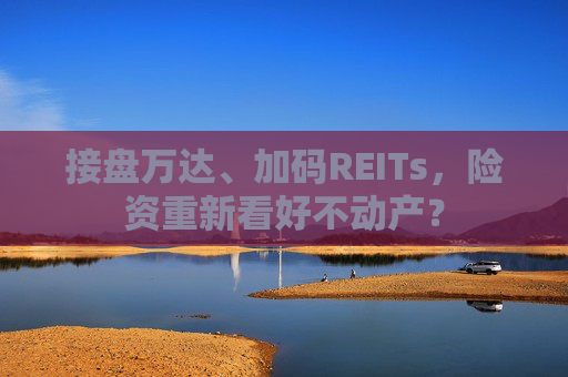 接盘万达、加码REITs，险资重新看好不动产？
