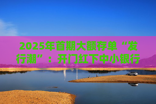 2025年首期大额存单“发行潮”：开门红下中小银行密集发售 三年期利率仍可达2.95%