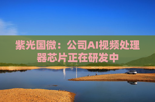 紫光国微：公司AI视频处理器芯片正在研发中