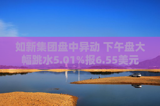 如新集团盘中异动 下午盘大幅跳水5.01%报6.55美元