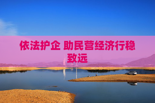依法护企 助民营经济行稳致远